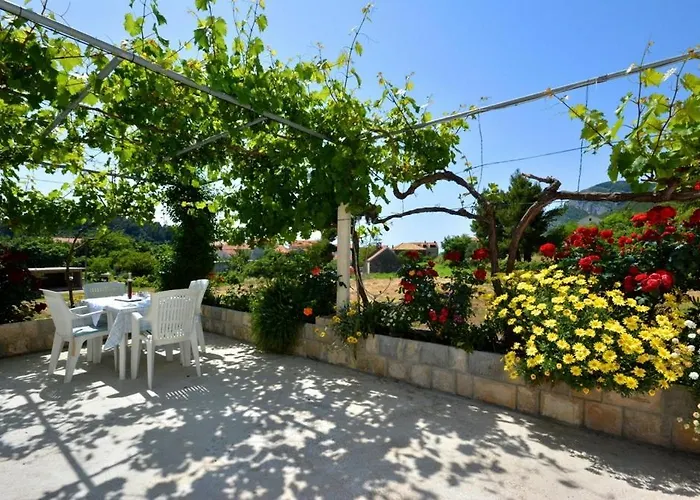 Daire With Large Terrace 3558-4